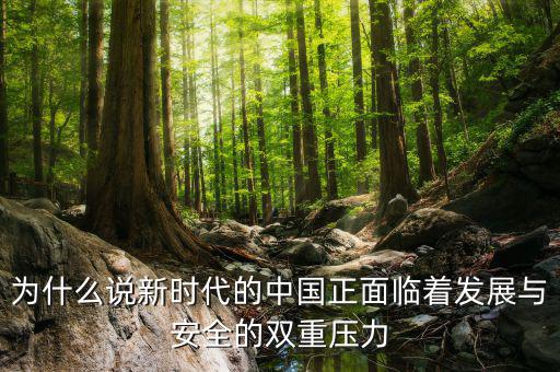 中國的雙重負擔是什么，為什么說新時代的中國正面臨著發(fā)展與安全的雙重壓力