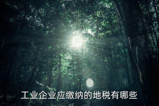 什么企業(yè)交土地使用稅，企業(yè)自有房屋土地使用稅繳納