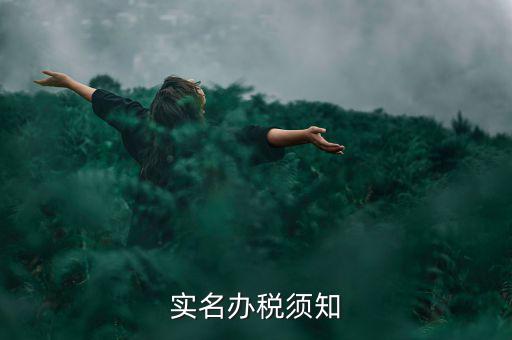 實名制什么叫辦稅人，稅務(wù)局怎么實名制辦稅員