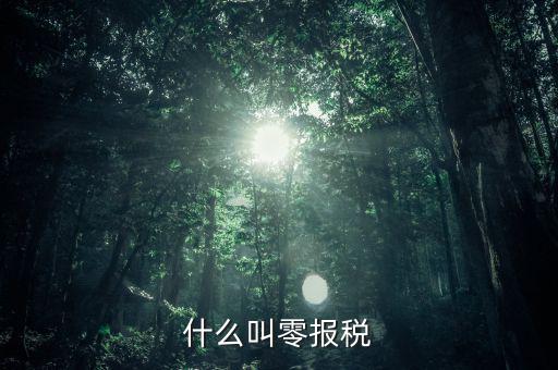 0報稅是什么意思，稅務(wù)上所謂的零申報是什么