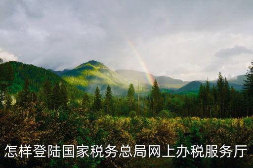 稅務局登錄什么瀏覽器可以，怎樣登陸國家稅務總局網(wǎng)上辦稅服務廳