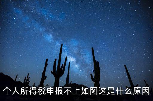個(gè)稅申報(bào)不成功什么原因，個(gè)人所得稅申報(bào)不上如圖這是什么原因