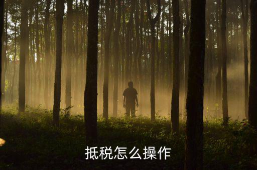 辦理抵稅流程是什么，電子稅務(wù)局退抵稅流程