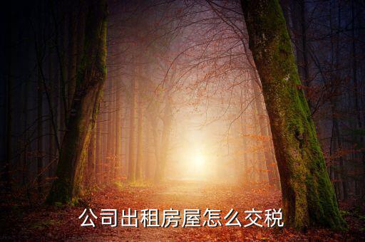 企業(yè)承租房屋交什么稅，公司租賃房屋需要交哪些稅