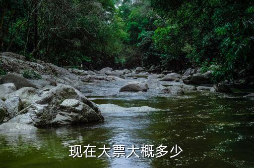 車輛大票是額多少什么，現(xiàn)在大票大概多少