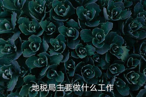 地稅局主要管什么的，地稅局工作的主要內(nèi)容