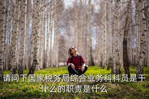 稅務局上班主要做什么，稅務局是干什么的