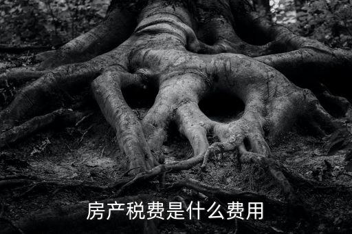 什么是房土兩稅，什么是城鎮(zhèn)土地使用稅