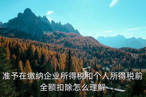 準予在繳納企業(yè)所得稅和個人所得稅前全額扣除怎么理解