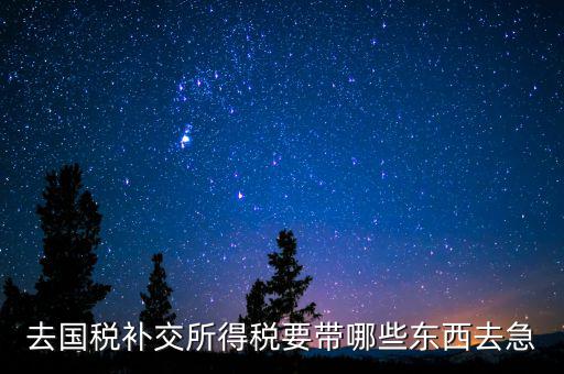 去國稅補繳增值稅要帶什么，增值稅零申報逾期申報了48天 到國稅補申報需要準(zhǔn)備什么資料 帶什么