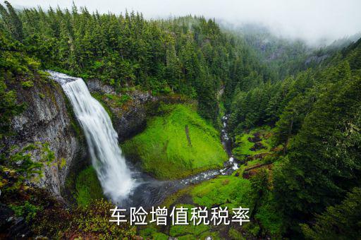 車輛保險增值稅是什么，保險公司在計算汽車商業(yè)險時為什么有增值稅