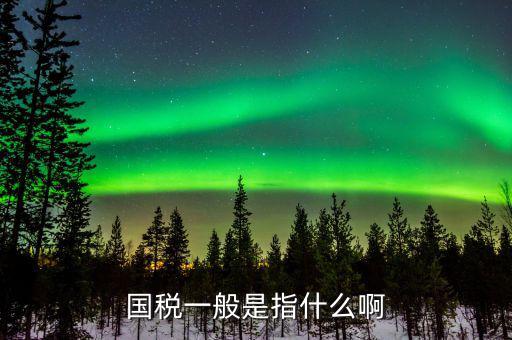 國稅指工業(yè)企業(yè)是什么意思，所屬國稅是什么意思