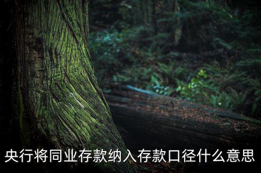 業(yè)務(wù)口徑是什么意思，銀行說的十四行口徑是什么意思