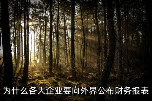 為什么要報送財務(wù)報表，為什么要編財務(wù)報表