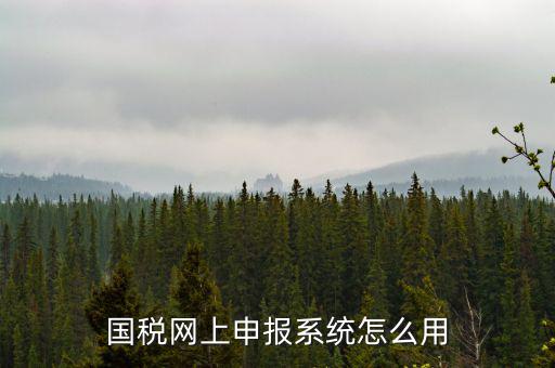 國稅網(wǎng)絡(luò)預(yù)申請系統(tǒng)是什么，怎么安裝國稅網(wǎng)上申報系統(tǒng)
