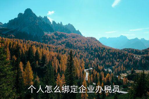 辦稅人員該綁定什么人，個(gè)人怎么綁定企業(yè)辦稅員