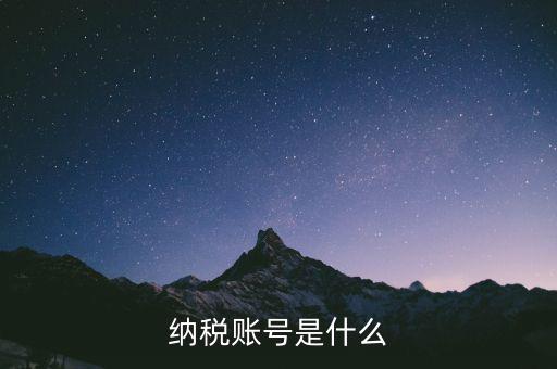 河北地稅賬號是什么意思，稅務賬號是什么