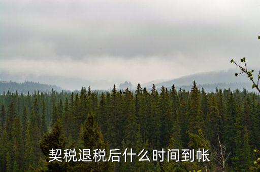 退稅款什么時候到賬，出口退稅款一般多久到賬