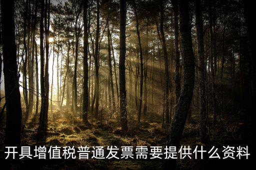 開增值稅提供什么資料，開具增值稅普通發(fā)票需要提供什么資料