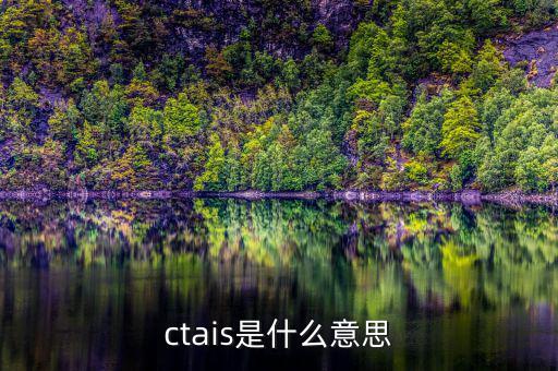 ctais是什么意思，ctais中增值稅認定級別是什么意思
