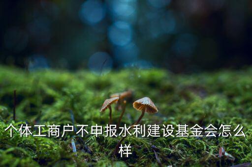 水利基金不報有什么后果，水利建設(shè)基金計稅當(dāng)月沒報有影響嗎