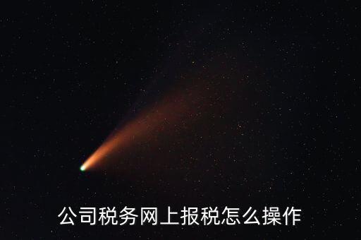 企業(yè)報(bào)稅登什么網(wǎng)站，企業(yè)稅務(wù)申報(bào)去哪個(gè)網(wǎng)站