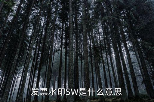 什么是發(fā)票水印，網(wǎng)購怎么辨別發(fā)票真徦