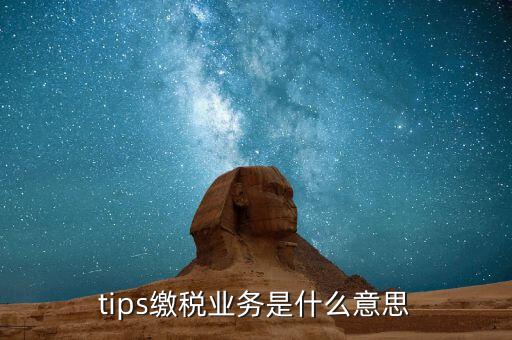 地稅tips繳款是什么意思，tips扣稅是什么意思