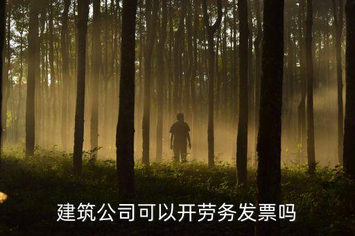建筑行業(yè)開什么發(fā)票，建筑公司可以開勞務(wù)發(fā)票嗎