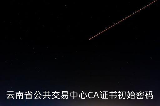ca原始密碼登錄是什么，蘇州投標(biāo)ca初始密碼