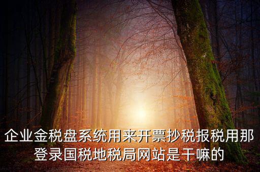 企業(yè)金稅盤系統(tǒng)用來(lái)開票抄稅報(bào)稅用那登錄國(guó)稅地稅局網(wǎng)站是干嘛的