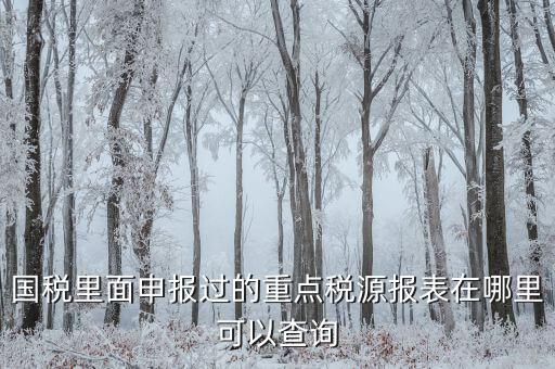 重點(diǎn)稅源預(yù)測(cè)網(wǎng)址是什么，國(guó)稅里面申報(bào)過的重點(diǎn)稅源報(bào)表在哪里可以查詢