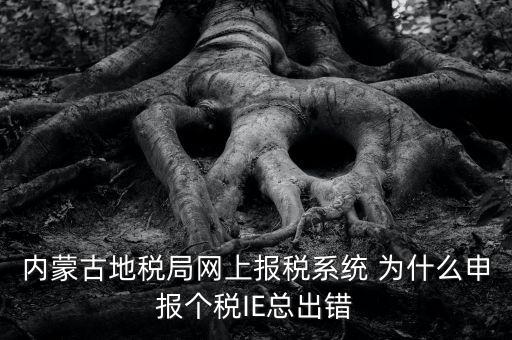 為什么內(nèi)蒙古國地稅網(wǎng)進不去，windows7內(nèi)蒙古地稅報稅系統(tǒng)顯示無法顯示該網(wǎng)頁
