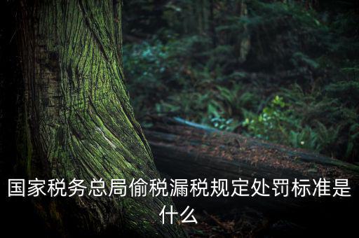 四稽國稅罰是什么意思，國稅局罰款結(jié)案是什么意思