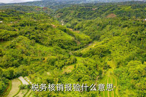 地稅核銷報驗是什么意思，地稅發(fā)票報驗是什么回事啊 怎么報驗什么時候報驗啊