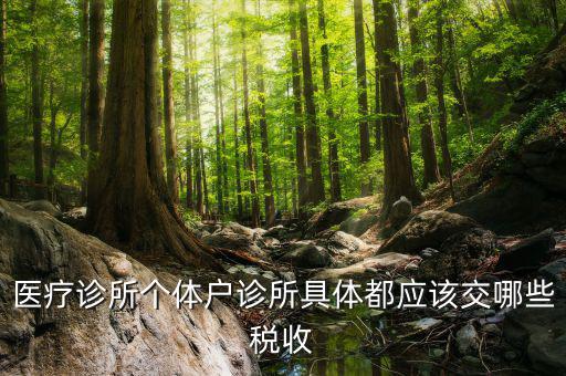 醫(yī)院應(yīng)交什么稅，醫(yī)療診所個體戶診所具體都應(yīng)該交哪些稅收