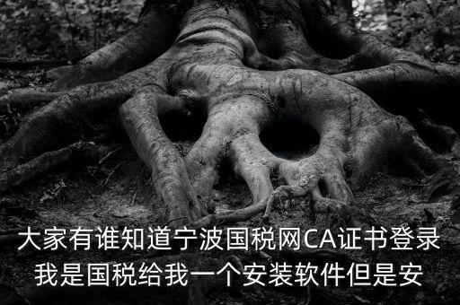 大家有誰知道寧波國稅網(wǎng)CA證書登錄我是國稅給我一個(gè)安裝軟件但是安