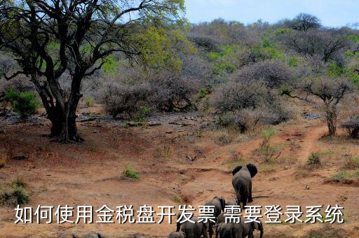 金稅盤要求什么系統(tǒng)，稅控發(fā)票開票軟件 需要什么系統(tǒng)