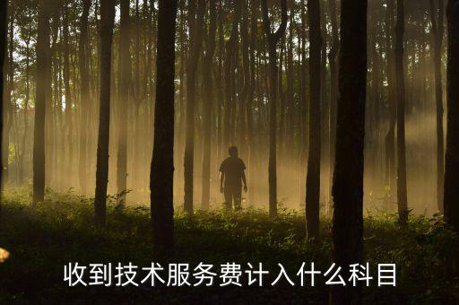 收到技術服務費計入什么科目