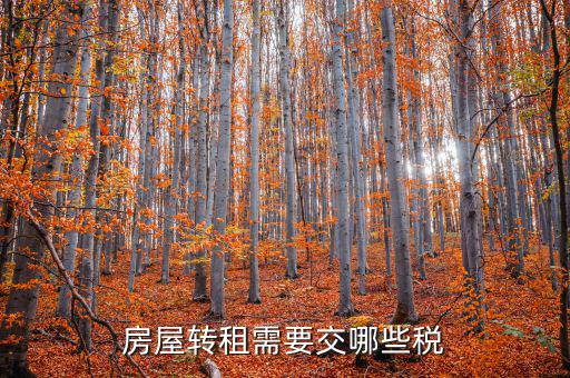 轉(zhuǎn)租房屋需要交什么稅，房屋轉(zhuǎn)租需要交哪些稅
