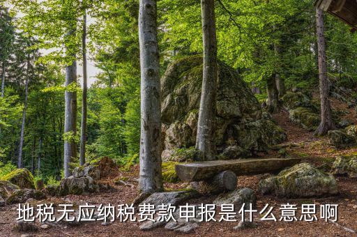 地稅無(wú)稅申報(bào)包括什么，地稅申報(bào)表無(wú)稅申報(bào)是什么意思我這個(gè)月要0申報(bào)是點(diǎn)擊