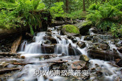 納稅人政策落實(shí)需求有什么，如何落實(shí)稅收優(yōu)惠政策