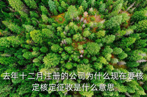 為什么核定征收收據(jù)，查賬征收為什么會(huì)轉(zhuǎn)為核定征收