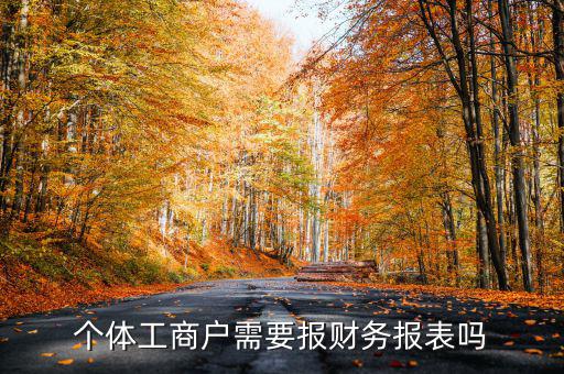 個體戶都需要申報什么表，個體工商戶需要報財務(wù)報表嗎