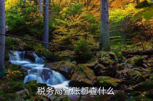 稅務(wù)局查的是什么發(fā)票，稅務(wù)局公司查發(fā)票進(jìn)項(xiàng)還是銷(xiāo)項(xiàng)