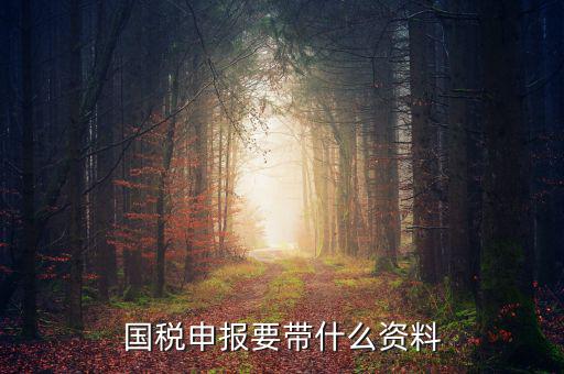 國(guó)稅注冊(cè)需要什么資料，國(guó)稅登記需要帶什么資料