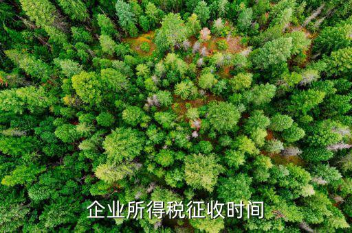 企業(yè)所稅的征收方式什么時候改，企業(yè)所得稅征收時間