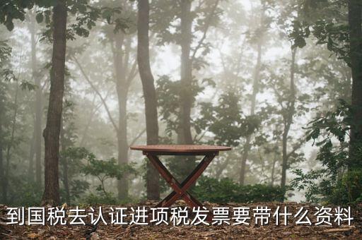常州國(guó)稅認(rèn)證發(fā)票需要帶什么，到國(guó)稅認(rèn)證發(fā)票時(shí)需要帶什么資料