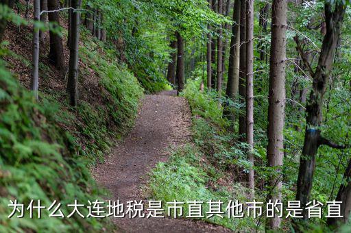 大連地稅局局長叫什么，大連地稅局的客服電話是多少