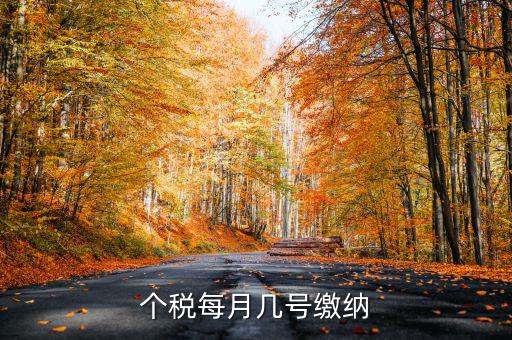 個(gè)稅每月幾號繳納